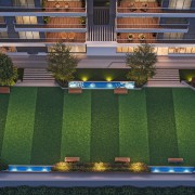 Urban Meadow Garden