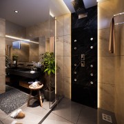 Lavish Dark Bathroom Concept