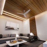 Enticing ceiling 